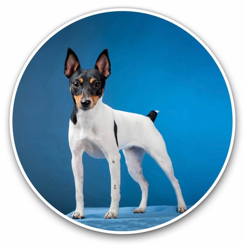 Vinyl stickers 25cm toy - 2,