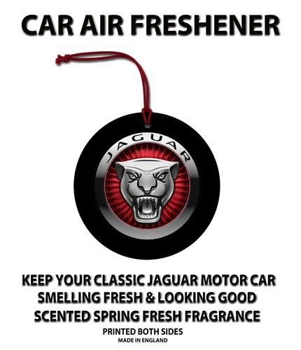 Jaguar car hanging air - car,