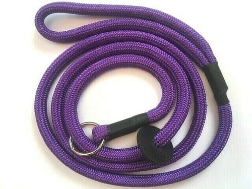 Dog training slip lead - dog, mm