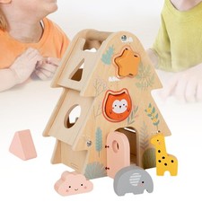 Shape Sorter House Color
