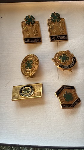 Total vintage pins - 6,