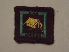 Senior Scouts Proficiency