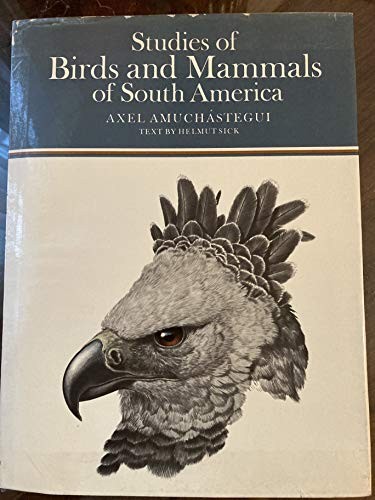 Studies birds and - studies, of