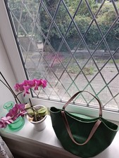 Penelope Chilvers Green