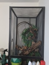 Chameleon Enclosure