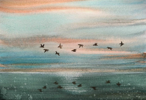 Berds flying cloudy - berds,