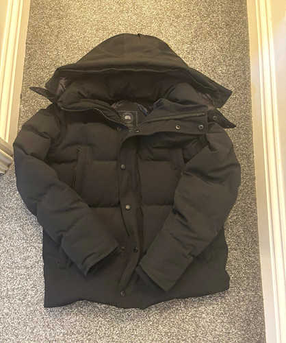 Canada goose arctic - arctic, program