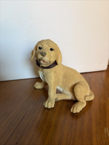 Labrador pup - labrador,