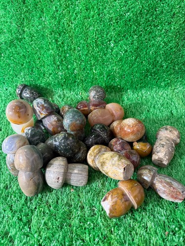 11lb natural ocean stone - natural,