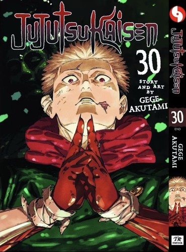 Jujutsu kaisen manga english - jujutsu,