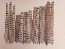 20 CUT Male Pheasant Centre