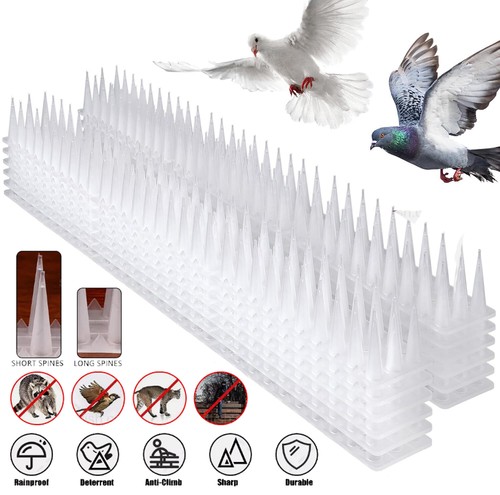 Bird spikes for - anti, pigeons