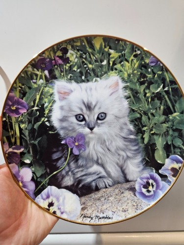 Nancy matthews grey kitten cat - kitten,