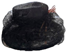 Elegant Black & Pink Feather