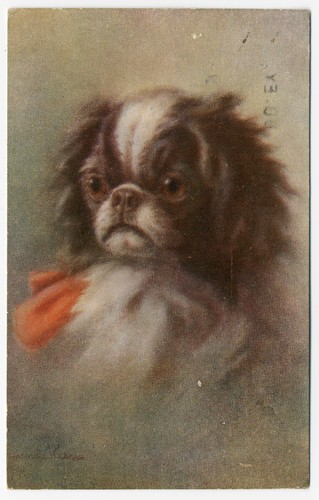 Japanese chin vintage - chin, art