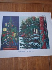 Macmillan Vintage Educational Poster 1930's No 82 Evergreens Trees Ivy