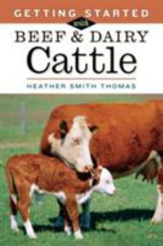 Getting started with beef and - getting,