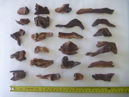 Bog wood drift - bog, 23pcs