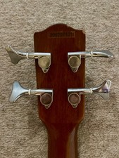 Axl electro acoustic - electro, bass