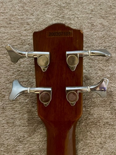 Axl electro acoustic bass - axl,