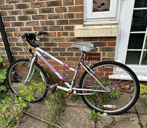 Bike silver pink - silver/pink, flat