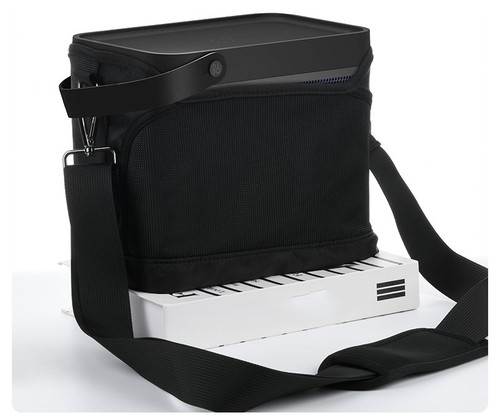 Carrying shoulder bag for bang - carrying,