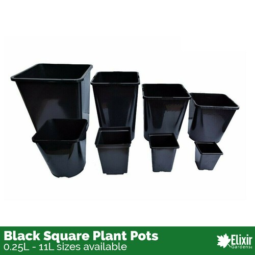 Square plant pot 75 - 0.75, 1