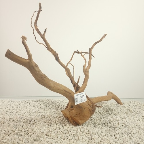 Aquarium driftwood red moor - driftwood,