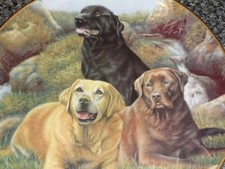 Lovely Franklin Mint Labrador Plate BELOVED COMPANIONS