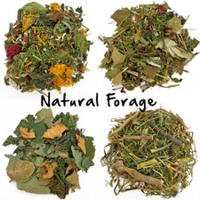 Bunny Bistro Salad Blends -