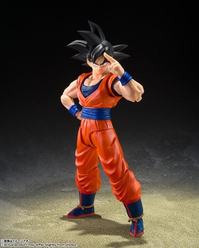 Bandai figuarts dragon - s.h,
