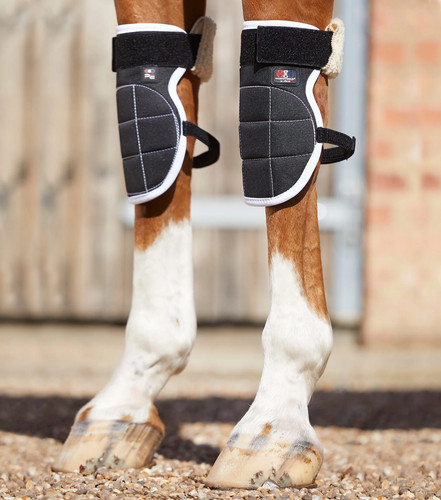 Premier equine magni teque - premier, magni-teque