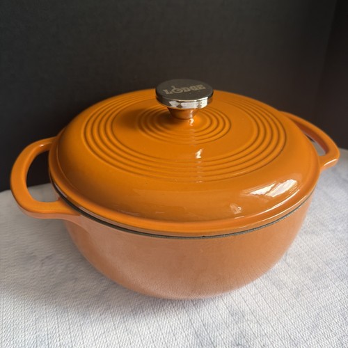 Lodge enameled cast iron - enameled,