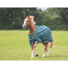 Shires Typhoon Lite Equestrian