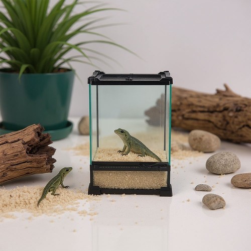 Glass nano habitat small - habitat,