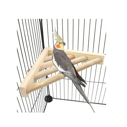 Bird perch corner platform - perch,