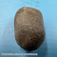 Ichthyosaur coprolite fossil - ichthyosaur,