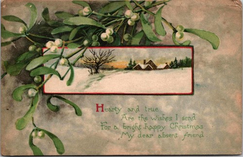 Mistletoe berries winter scene - mistletoe,
