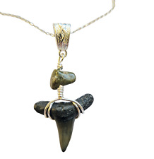 Gorgeous Fossil Lemon Shark Tooth Necklace - Beautiful Presentation