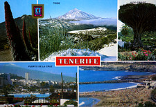 Postcard spain canary - postcard,