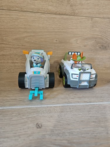 Paw patrol everest - paw,