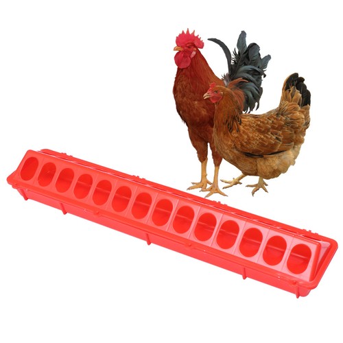 1pcs durable pigeon feeder red - pigeon,