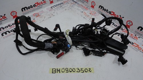 Engine wiring harness - engine,