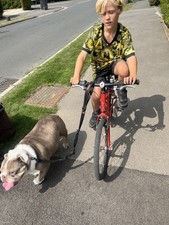 Islabike Isla Beinn 20 Large -