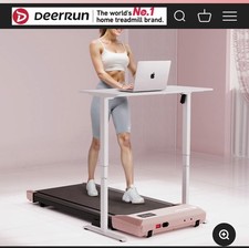 Walking Pad/Treadmill - Big