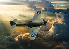 Hawker Sea fury  dramatic sky