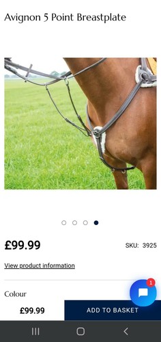 Shires avignon full size - , 5