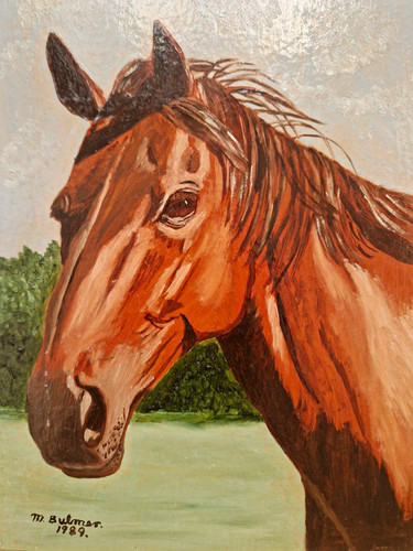 Original vintage horse - original,