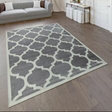 Paco Home Sinai Rug Grey 120x170cm Modern Carpet Area Floor Mat Brand New Bagged