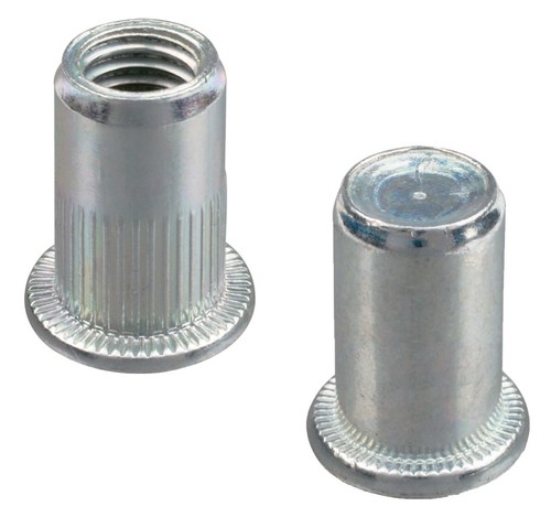 Round body flat - round, head